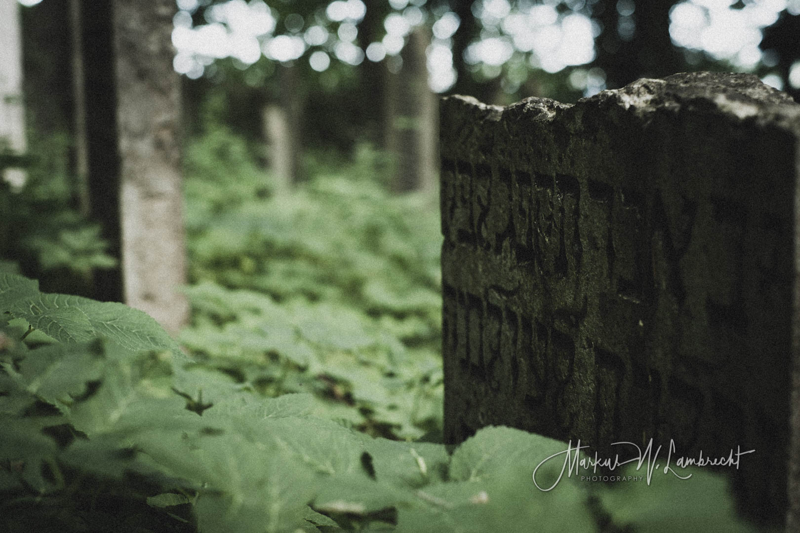 Niederhof (Sundhagen), Jüdischer Friedhof